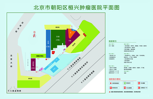 裸体吊逼北京市朝阳区桓兴肿瘤医院平面图